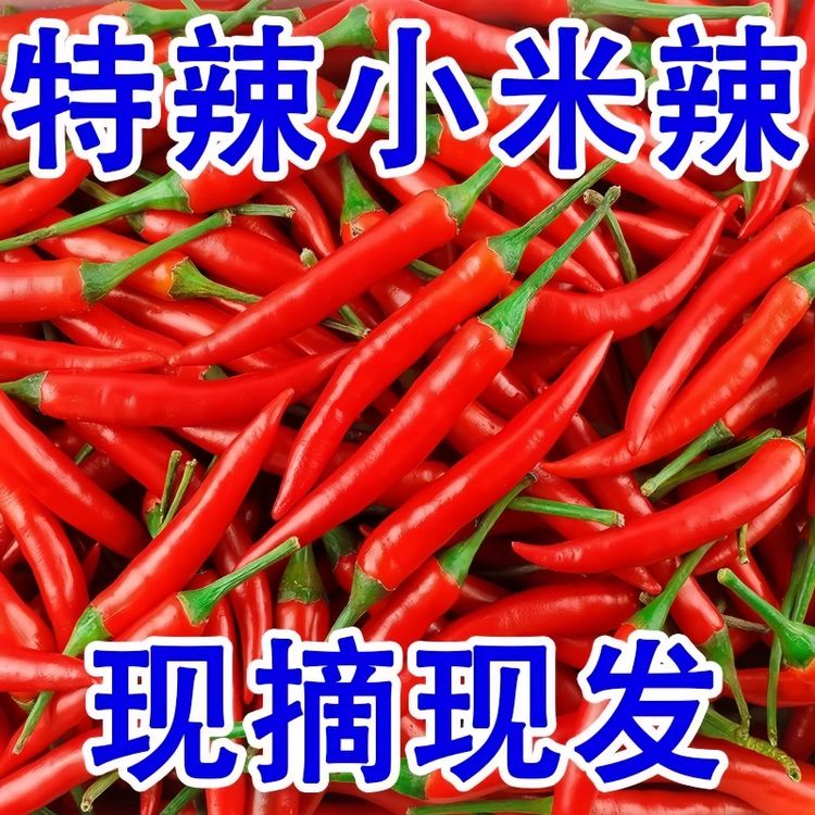 【新鲜小米辣】特辣小米椒朝天椒小米辣椒爆辣红辣椒新鲜采摘巨辣商品图