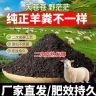 羊粪发酵有机肥料植物专用花肥内蒙古发酵纯羊粪农家肥腐熟掺混肥商品图