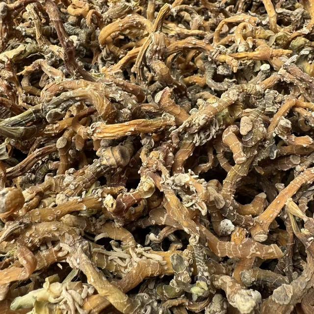 【小潘专属】高山农家精选山货 短条绿皮玉竹4商品图