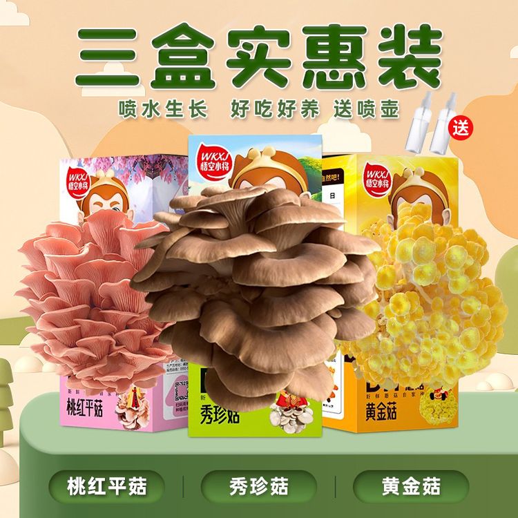【四季种植】家庭自种可食用菌DIY儿童蘑菇种植观察盒趣味益智盆栽商品图