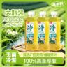 【大容量3瓶】100%冷泡茉莉花茶原茶萃取无糖茶饮料草本植物大瓶装商品图