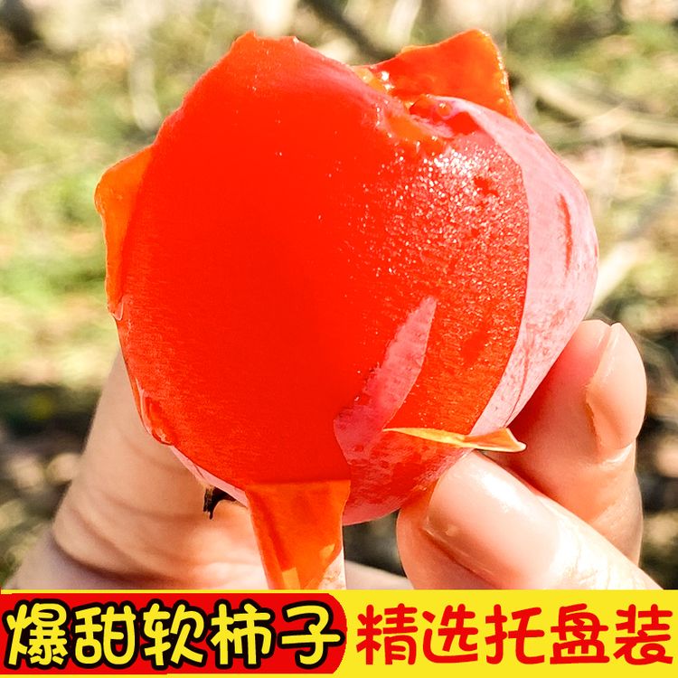 正宗软柿子新鲜流心蜜柿软糯爆甜当季应季水果火晶柿子商品图