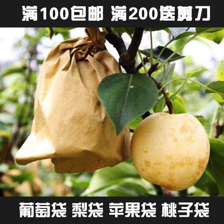 梨套袋桃黄金梨袋翠冠梨枇杷柚子葡萄套袋枇杷芒果防雨水石榴套袋