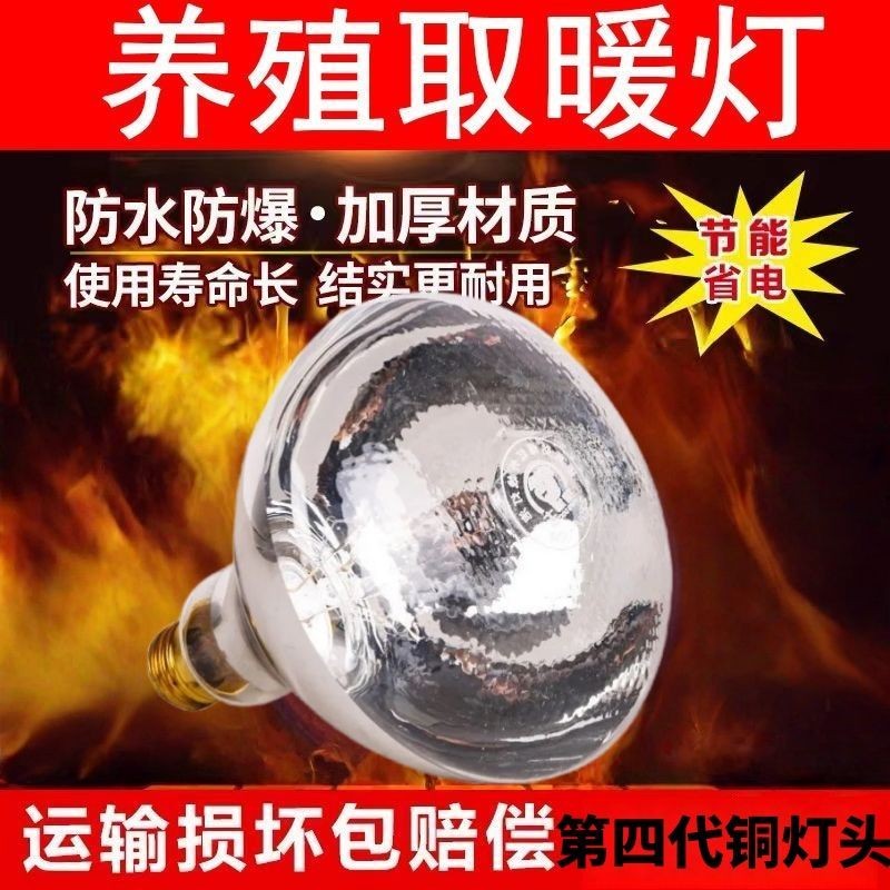 养殖专用四代六代铜头防水保暖灯猪牛羊幼鸡烤灯畜牧兽用节能耐用商品图
