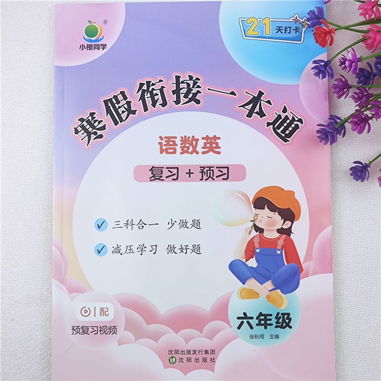 寒假衔接一本通六年级上册寒假作业人教版语数英复习资料衔接预习商品图