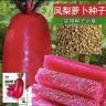 【H凤梨水果萝卜种子】凤梨萝卜红皮红肉种籽农家蔬菜种子商品图