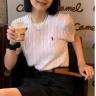 未使用 Ralph Lauren/拉夫劳伦  纯色圆领刺绣短袖针织衫 女款商品图