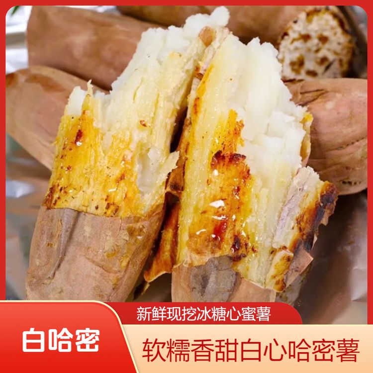 白哈密薯新鲜红薯香甜蜜薯地瓜冰糖心白心哈密 多仓发货商品图