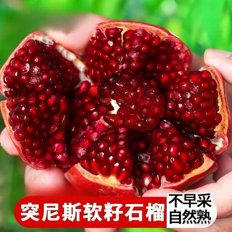 【彩箱礼盒商超品质】四川会理突尼斯软籽石榴新鲜香甜多汁坏果包赔商品图