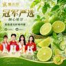 【实惠中果】塔西提无籽青柠檬无籽香水柠檬果香新鲜皮薄多汁水商品图