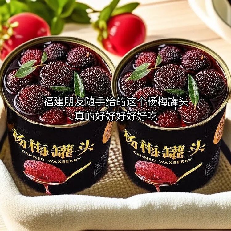 出口品质新鲜杨梅罐头水果罐头专用烘焙糖水罐头整箱即食铁罐装商品图