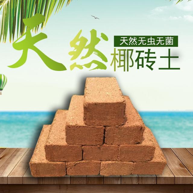椰糠砖营养土养花种菜营养土阳台室内种植营养土一块可泡发7~9商品图