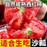 宁夏露天沙瓤西红柿多汁酸甜老式沙瓤番茄凉拌炒菜两用产地直发商品图