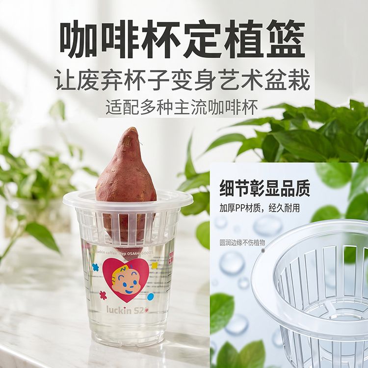奶茶杯子用水培植物定植篮水养蔬菜红薯花卉咖啡饮料杯子固定篮商品图