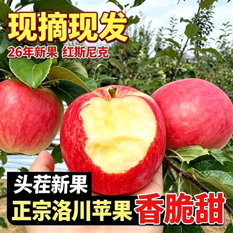 【产地直发】正宗洛川苹果陕西红富士新鲜苹果脆甜多汁不打蜡gc1商品图