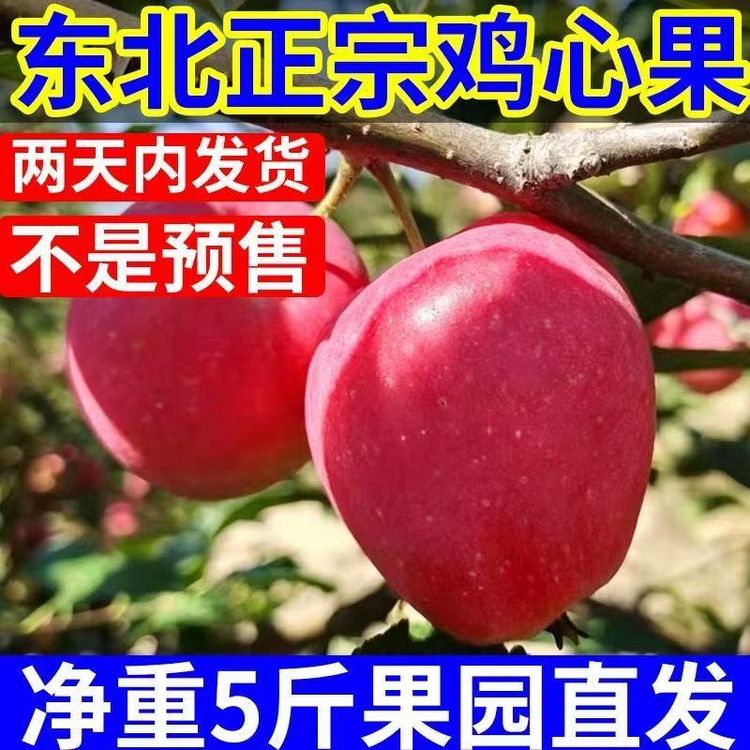 【小卢果园】正宗东北鸡心果大果锦绣海棠酸甜脆新鲜小苹果现摘批发商品图
