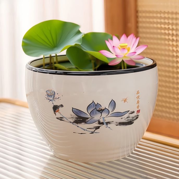 水培花盆碗莲专用陶瓷铜钱草睡莲水仙花盆金钱草水培植物盆无孔商品图