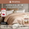 【罗莱·蚕丝澳洲羊毛】100%蚕丝澳洲进口羊毛加厚二合一四季子母被商品图
