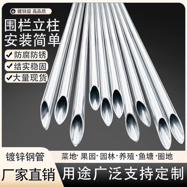 镀锌圆管立柱围栏网养殖网铁丝网竹竿钢管户外防锈菜园圈地防护锌商品图