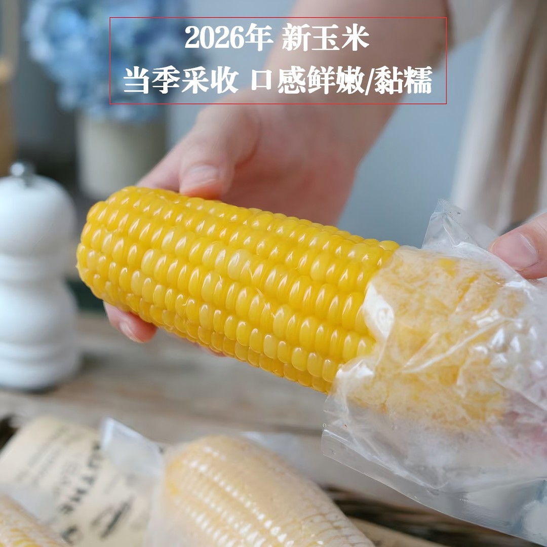 【2026年新季玉米】内蒙2018黄糯玉米 净重4.5斤 8根装商品图