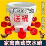 鸡鸭鹅自动饮水器小鸡饮水碗鸡鸭自动饮水器鸡喝水的自动饮水器商品图