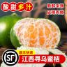 【顺丰上门】江西赣南寻乌蜜桔孕妇当季酸甜青皮橘子皮薄无籽化渣商品图