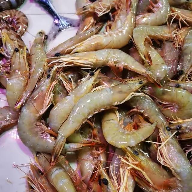 顺丰快递(一斤25条左右）湛江天然大明虾新鲜野生大海虾海鲜3斤商品图