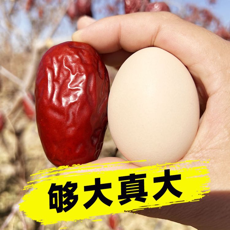 【超大特级】正宗新疆和田大枣特产特大免洗红枣礼品干果骏枣玉枣商品图
