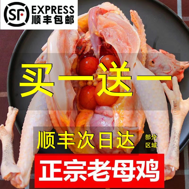 2只3年正宗老母鸡现杀新鲜土鸡农家散养柴鸡走地鸡草鸡笨鸡整只商品图