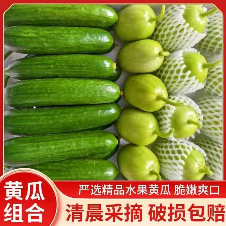 山东寿光现摘现发玉女小黄瓜＋水果黄瓜给您两种不同的清新口感商品图