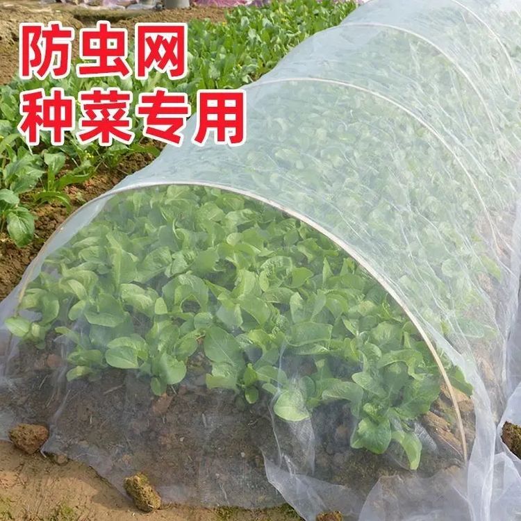 防虫网种菜专用新型80目加厚农用大棚蔬菜驱虫纱网果树网罩菜地网商品图