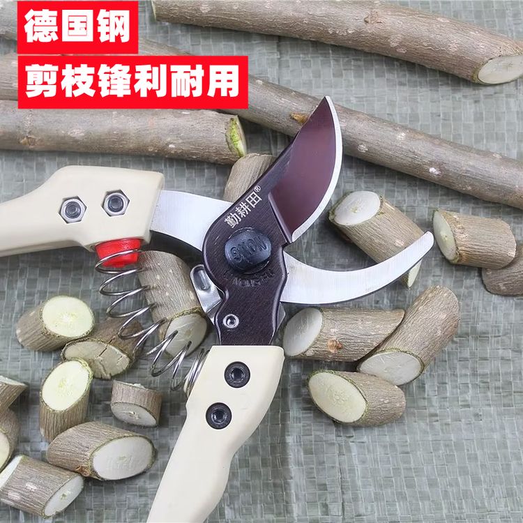 不锈钢130S修枝剪剪树枝专用剪刀园林果树剪家用花艺园艺剪枝剪子商品图