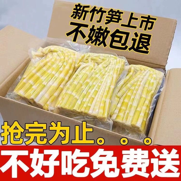 整箱大包装！商用小竹笋新鲜嫩笋尖脆笋鲜竹笋商用食材火锅麻辣烫T商品图