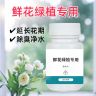 鲜花绿植净水片幼儿园养花绿植专用插花卉切花保鲜延长花期掺混肥商品图