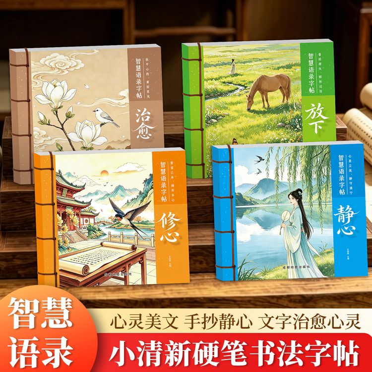 【智慧语录】手写体练字帖美文临摹字帖成人硬笔练字学生手写商品图