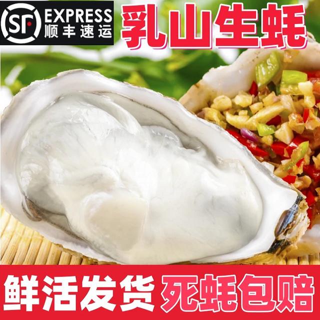 山东威海乳山特大生蚝鲜活牡蛎海蛎子刺身级海鲜5斤10斤顺丰包邮商品图