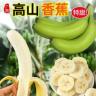 【现砍现发】广西高山甜香蕉青蕉新鲜水果5斤产地粉芭蕉软糯香甜商品图
