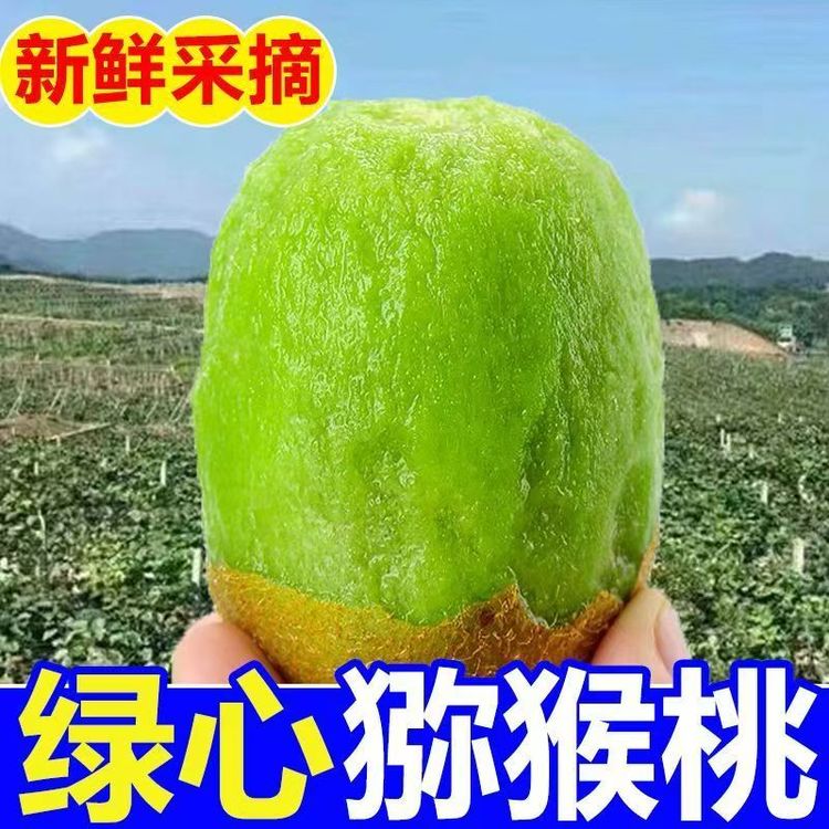 【5斤彩箱礼盒装】正宗绿心猕猴桃头茬奇异果酸甜可口坏果包赔x商品图