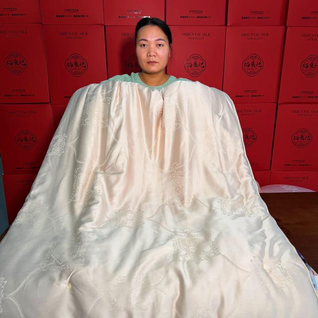 【栖桑记·圣洛伊】福利蚕丝被子春秋被结婚送人春高档纯色丝滑XY21商品图