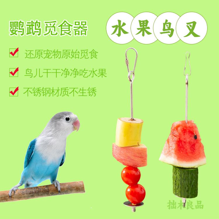 鸟用不锈钢水果叉挂钩鹦鹉喂食器鸟笼绣眼鸟果叉专用水果夹水果棒商品图