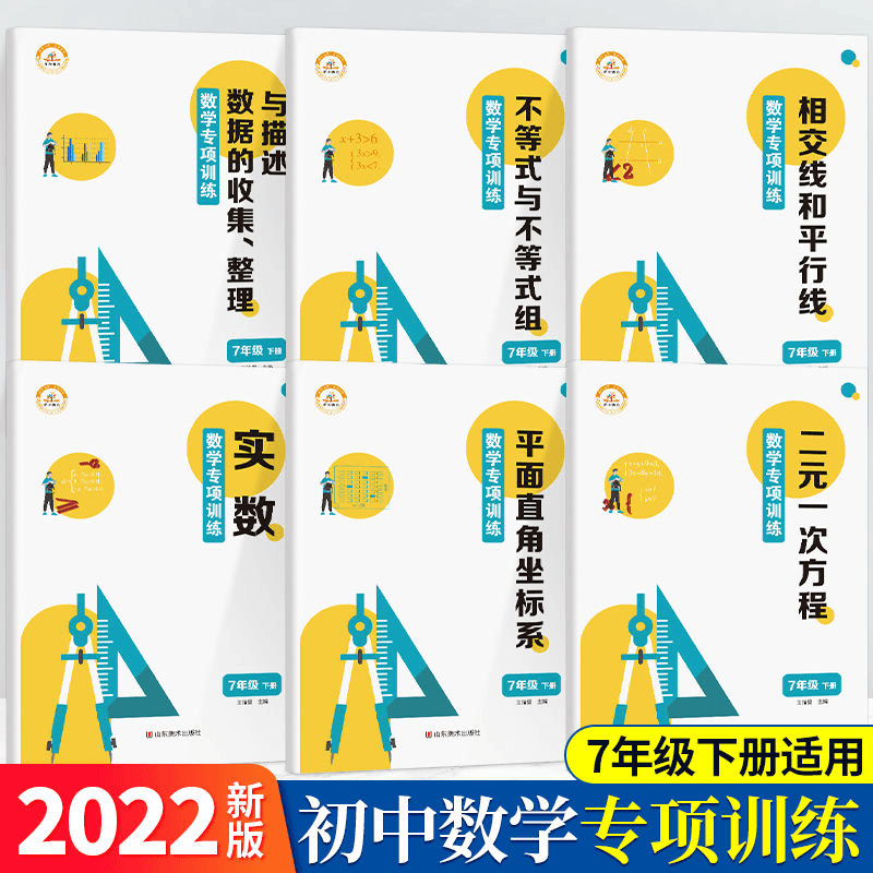 七年级下册数学专项训练全6册二元一次方程不等式练习题人教版商品图