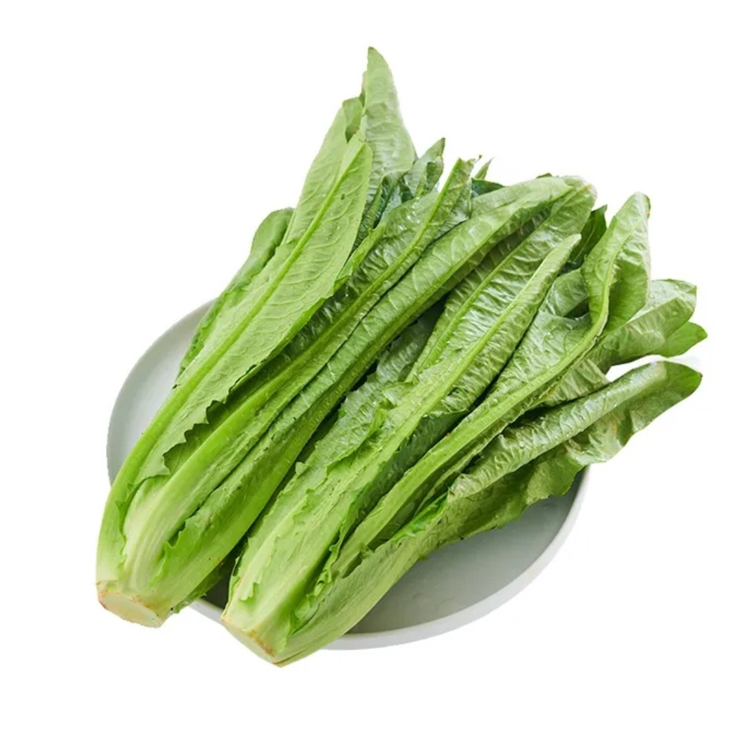 辽宁直发鲜油麦菜200g±10g/份商品图