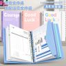 活页文件夹高颜值A4插页透明袋资料册试卷收纳检查收纳袋商品图