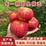 【现摘】云南昭通红露苹果现摘现发脆甜多汁产地直发丑苹果5/10斤商品图