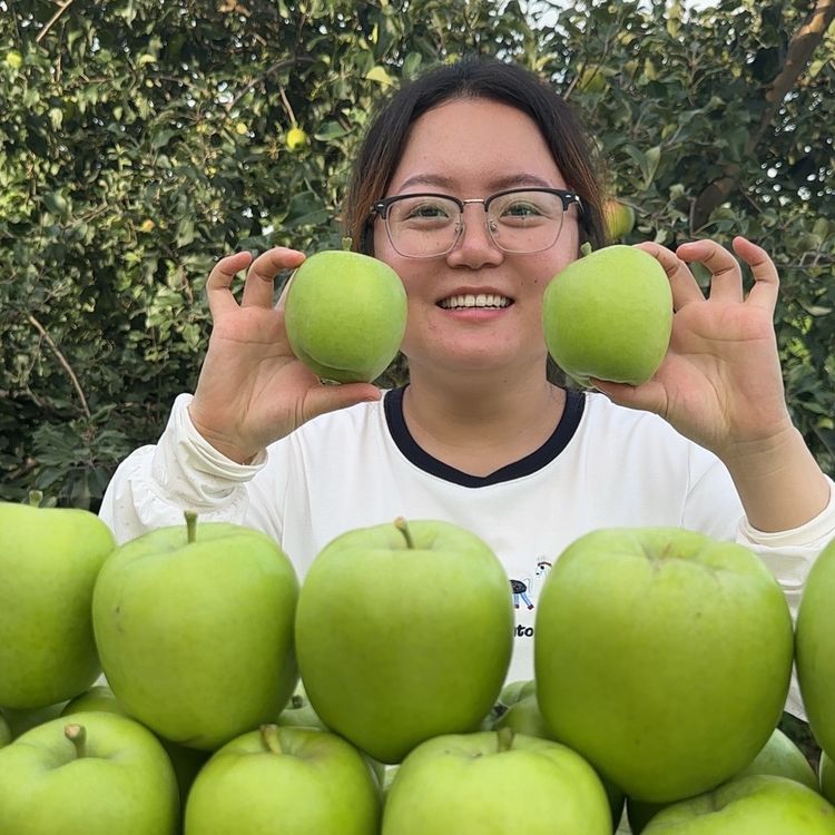 【26年新苹果】新鲜头茬青苹果当季现摘酸甜脆爽多汁孕妇应季水果商品图